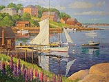 Lupine, Rockport Harbor