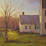 Forsythia Sugar House