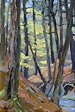 Sparkle in the Woods