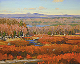 Muzzy Ridge Barren