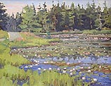 Stonington Lilies
