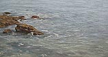 Shallow Water