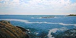 Seafoam Spiral - (Land