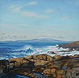 Schoodic Surf study