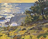 December Coast, California