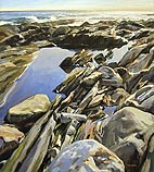 Rocky Shore