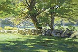 Stone Wall