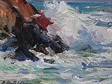 Back Shore Breaker