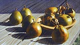 Sweet Sheldons