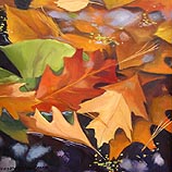 Fall Pattern