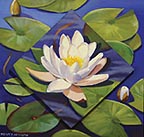 Water Garden