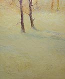 Veil of Winter I