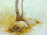 Field Stones