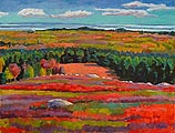 Barrens of Blue Hill