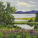 Lupine Ridge