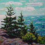 Monhegan Pines