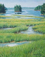 Sunlit Marsh