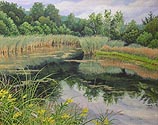 Pondside Reflections