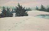 Quiet Winter Walk