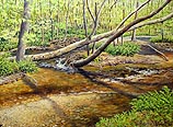 Stream Shadows