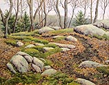 Summit Trail
