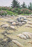 Rocky Beach