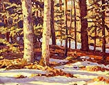 Late Winter Snow