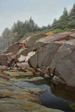 Tide Pool, Monhegan